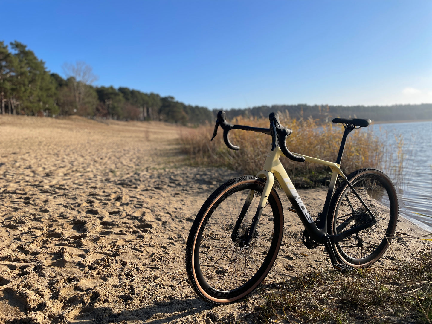RINOS Kohlefaser Gravel Bike Sandman 4.0 Shimano GRX400