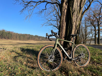 RINOS Kohlefaser Gravel Bike Sandman 4.0 Shimano GRX400