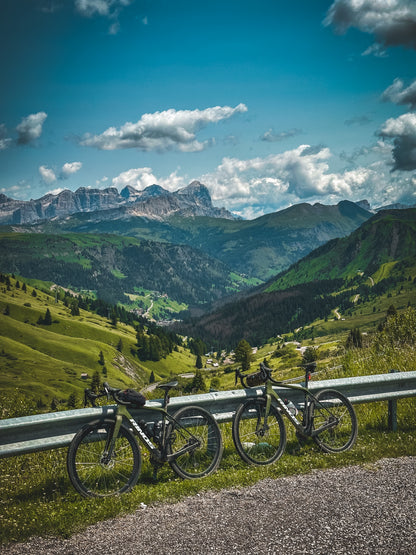 RINOS Kohlefaser Gravel Bike Sandman 4.0 Shimano GRX400