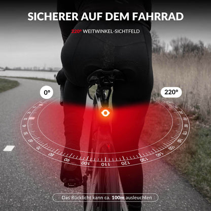 Fahrradlicht IPX5 Wasserdicht Rücklicht Wiederaufladbar mit USB-C ROCKBROS